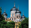 Best Cruises Tallinn